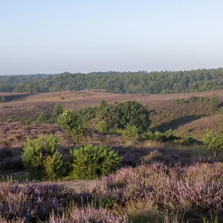 Lodges Op De Posbank Camping *