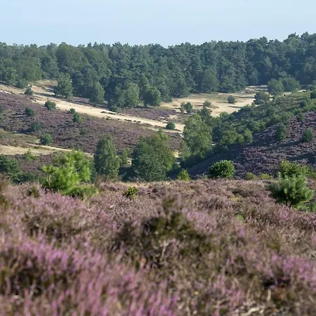 Lodges Op De Posbank Camping Rheden
