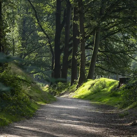 Camping Lodges Op De Posbank Rheden